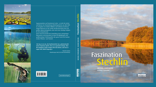 Stechlinbuch